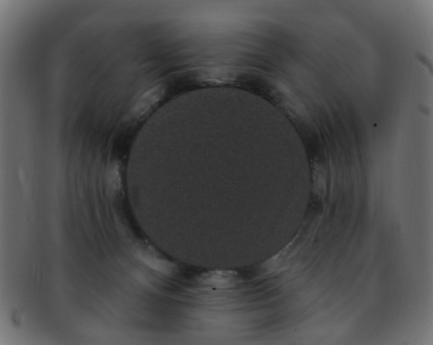 X0000091730128200709071509