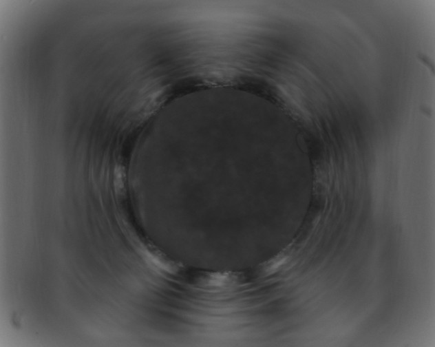 X0000091730130200709071509