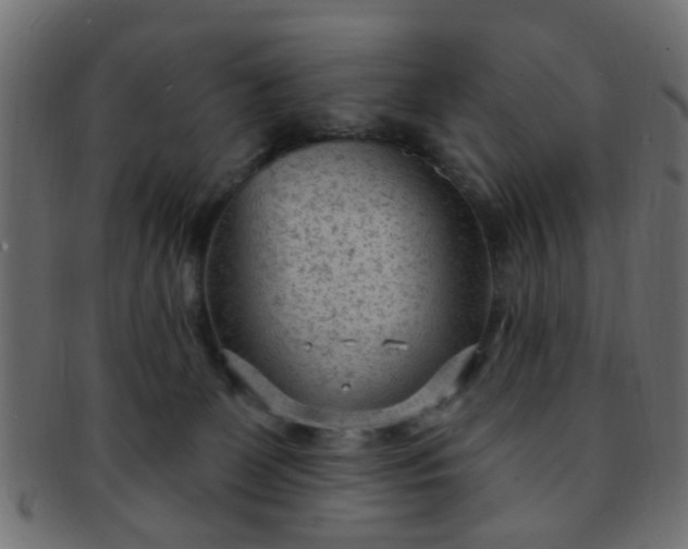 X0000091730131200709071509