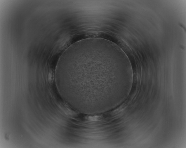 X0000091730134200709071509