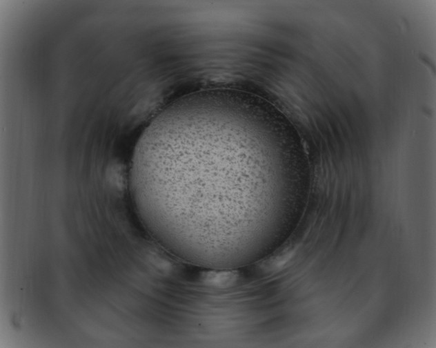 X0000091730135200709071509