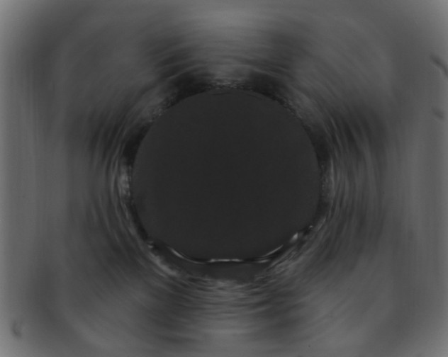 X0000091730137200709071509