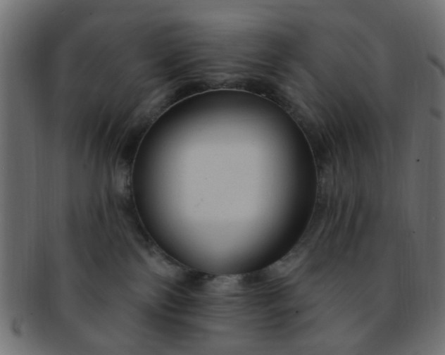 X0000091730138200709071509