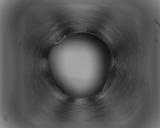 X0000091730141200709071509