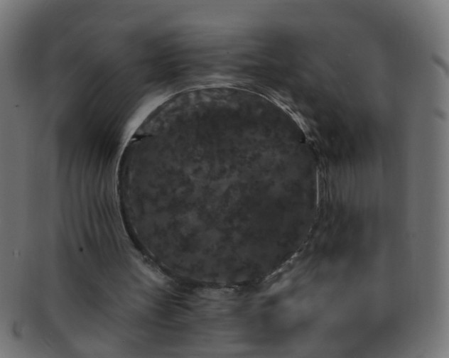 X0000091730147200709071508