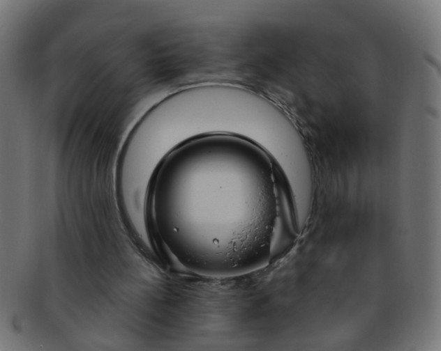 X0000091730148200709071508