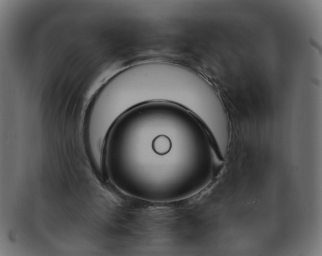 X0000091730150200709071508