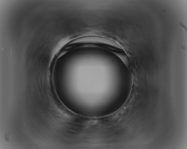 X0000091730152200709071508