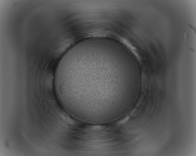 X0000091730153200709071508