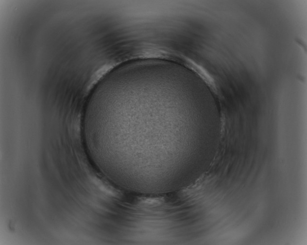 X0000091730155200709071508