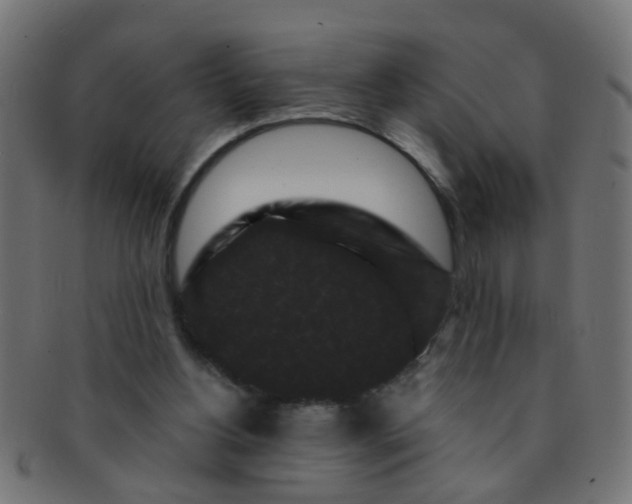 X0000091730156200709071508