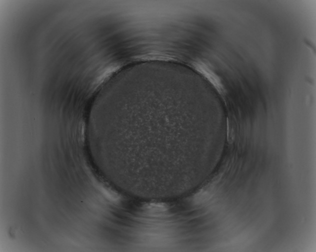 X0000091730157200709071508