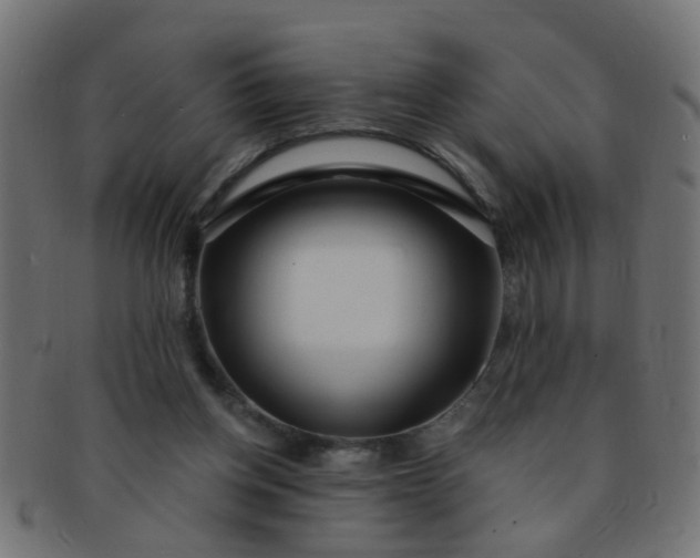 X0000091730158200709071508