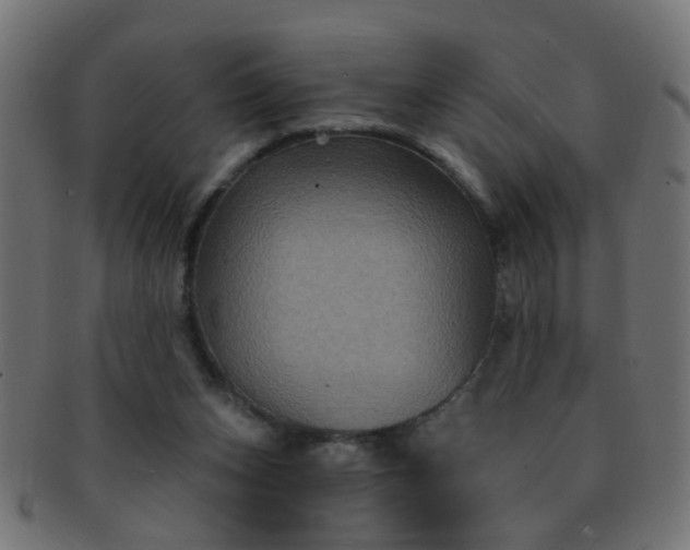 X0000091730159200709071508