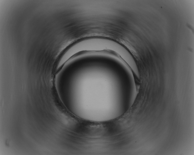 X0000091730160200709071508