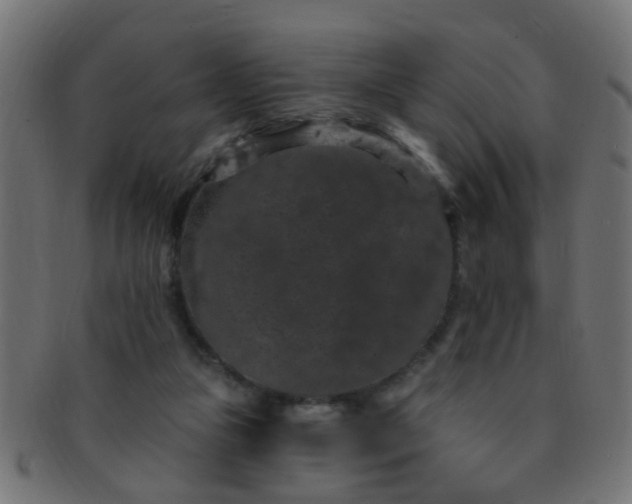 X0000091730161200709071508