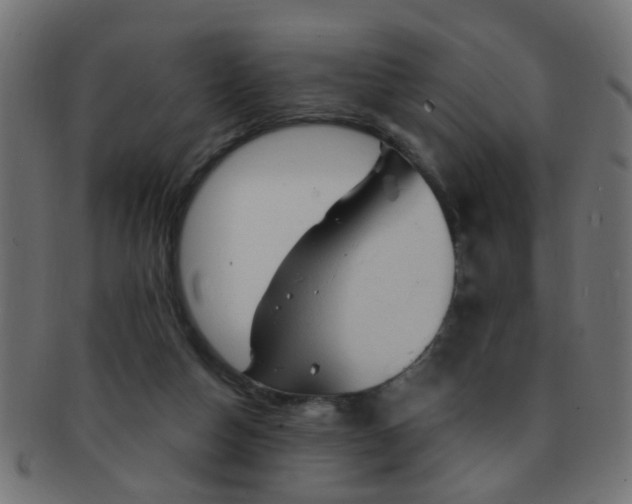 X0000091730162200709071508