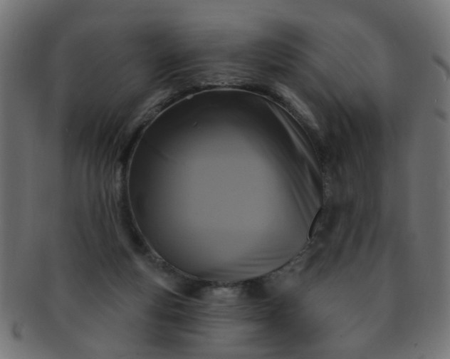 X0000091730163200709071508