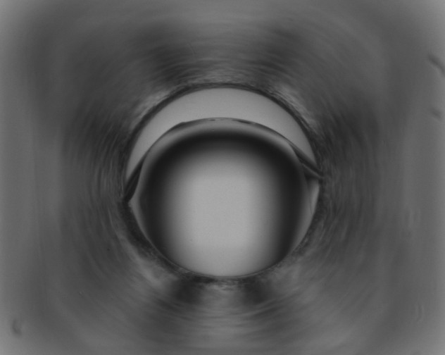 X0000091730164200709071508