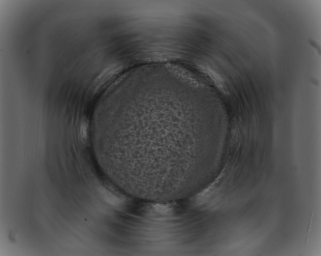 X0000091730166200709071508