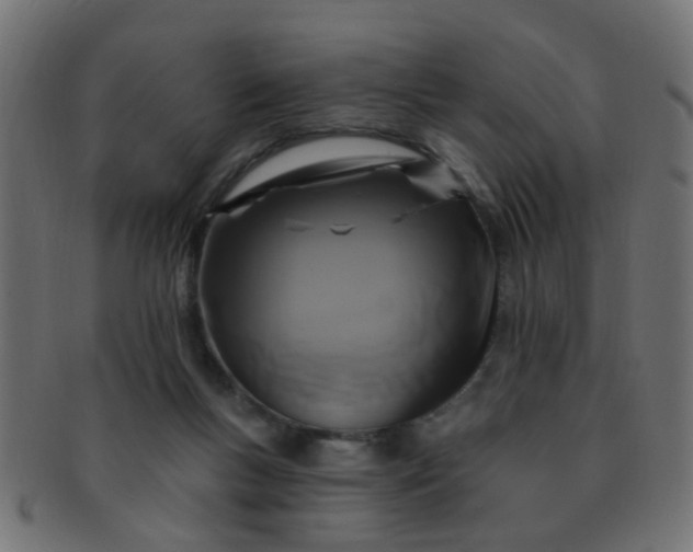 X0000091730167200709071508