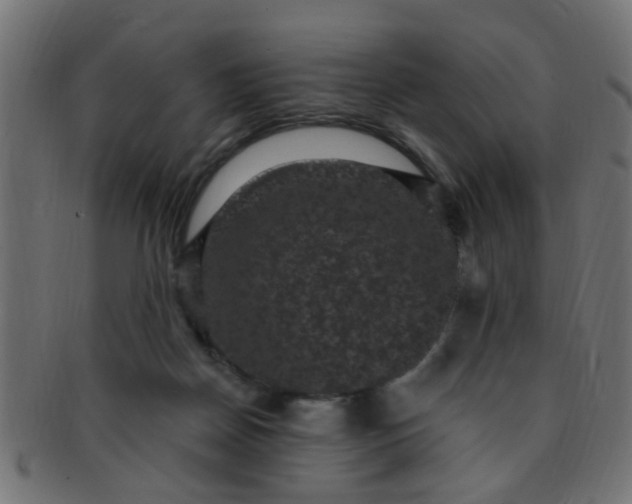 X0000091730170200709071508