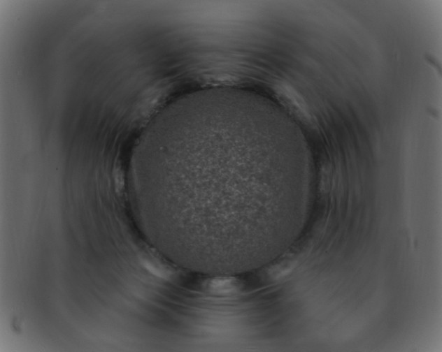 X0000091730173200709071508