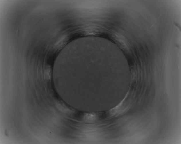 X0000091730174200709071508