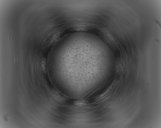 X0000091730175200709071508