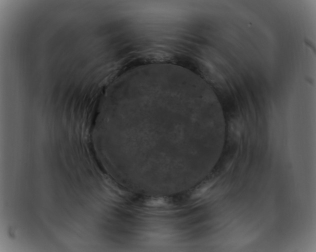 X0000091730177200709071509