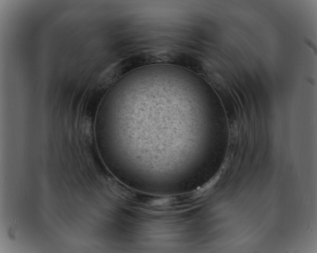 X0000091730178200709071509