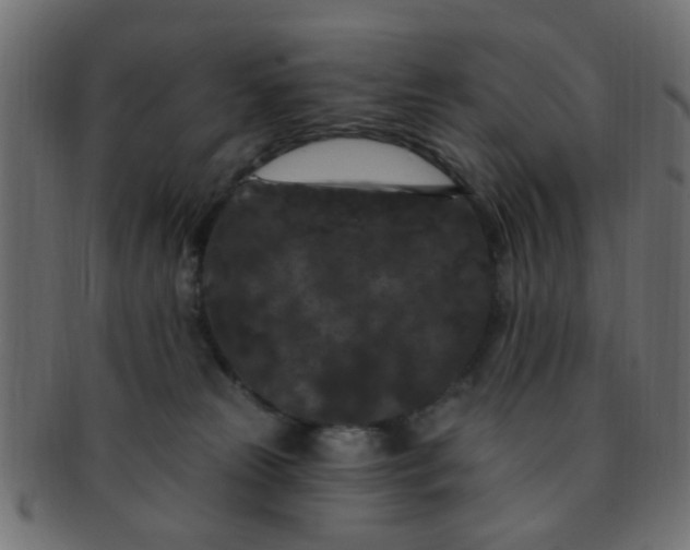 X0000091730181200709071509