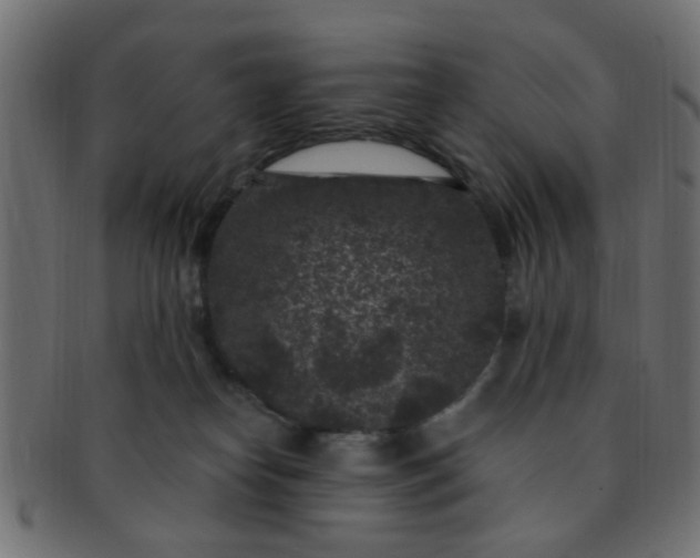 X0000091730182200709071509