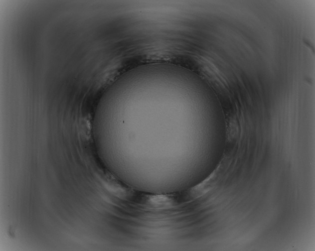 X0000091730183200709071509