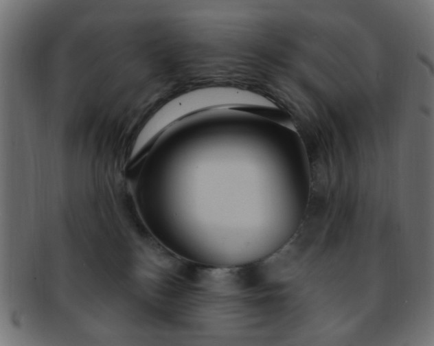 X0000091730184200709071509