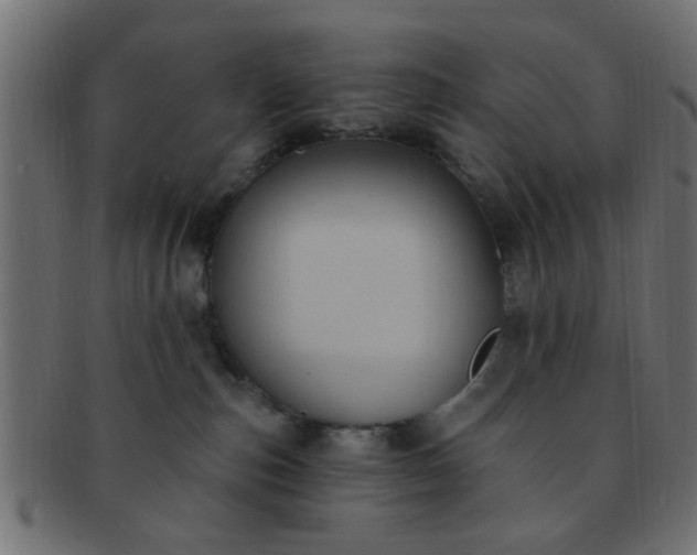 X0000091730187200709071509