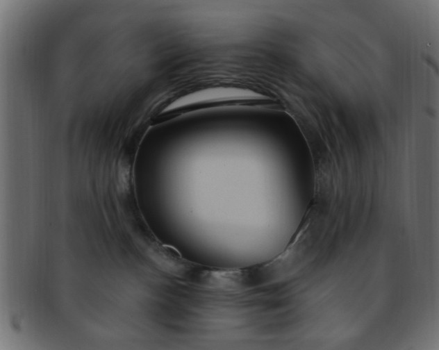 X0000091730188200709071509