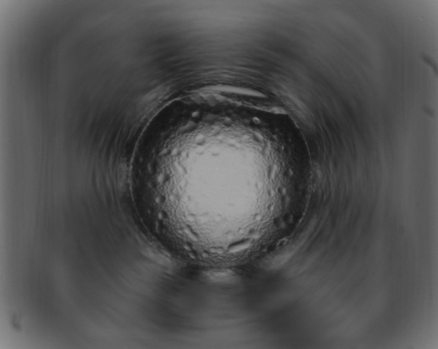 X0000091730189200709071509