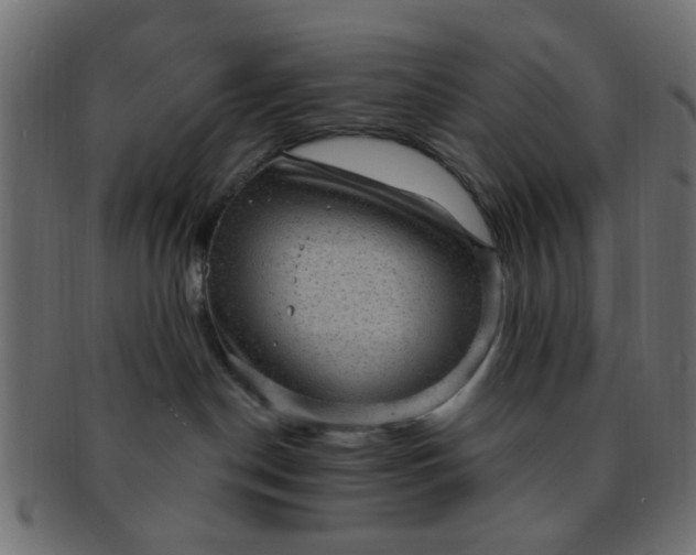 X0000091730190200709071509