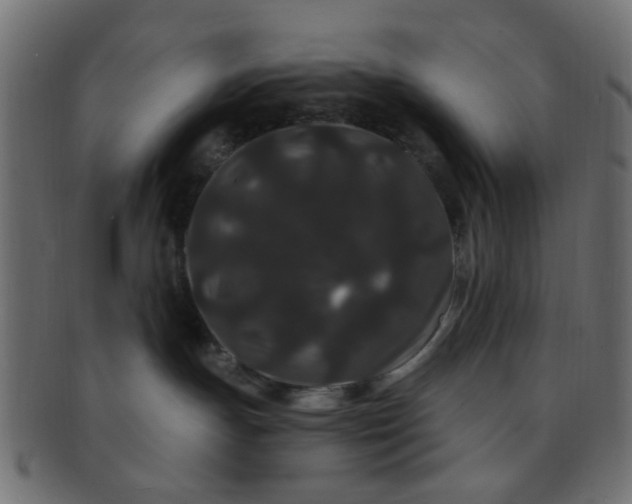 X0000091730191200709071509