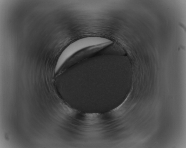 X0000091730192200709071509