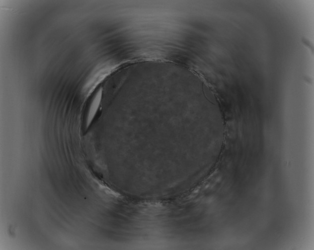 X0000091730194200709071508