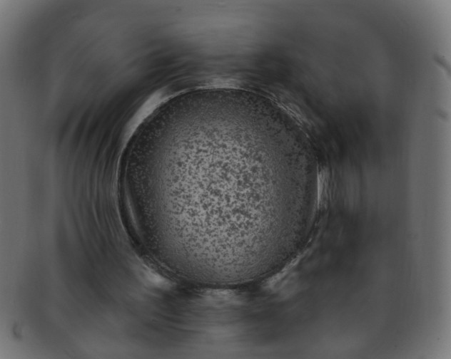 X0000091730195200709071508