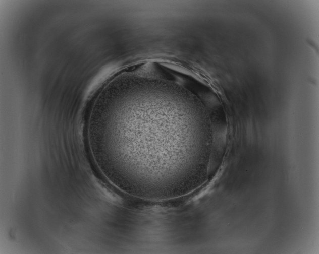 X0000091730197200709071508