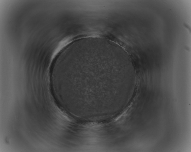 X0000091730198200709071508