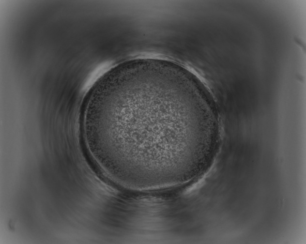 X0000091730199200709071508