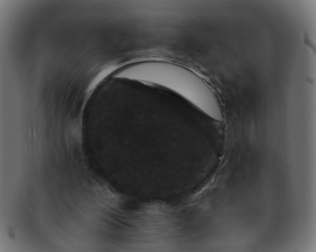 X0000091730200200709071508