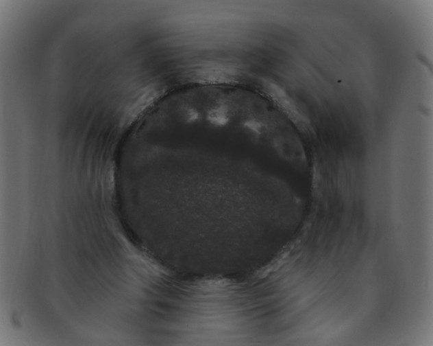 X0000091730202200709071508