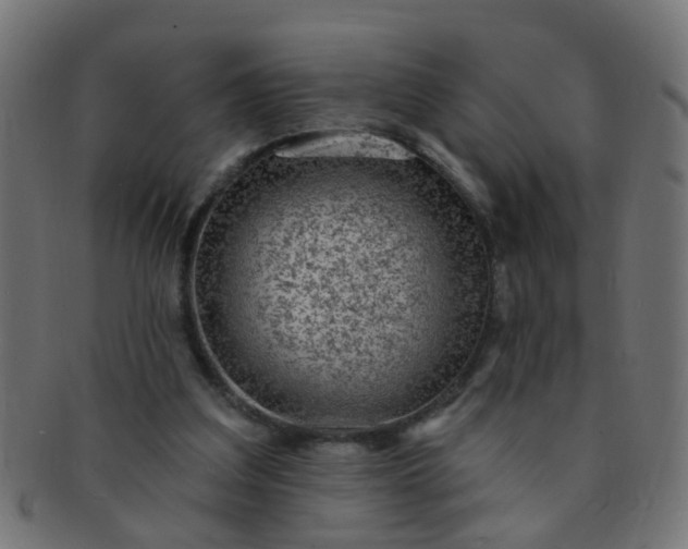 X0000091730203200709071508