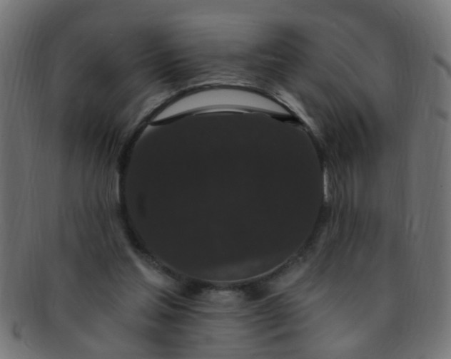 X0000091730205200709071508